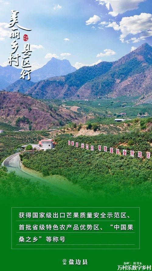 农村改造策略：未来乡村发展的蓝图与实践路径