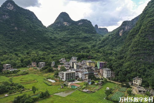 劳动力市民化：乡村振兴中的新趋势与挑战