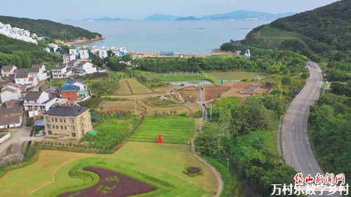 乡村医疗卫生的未来:均衡发展之路 乡村医疗卫生的未来:均衡发展之路